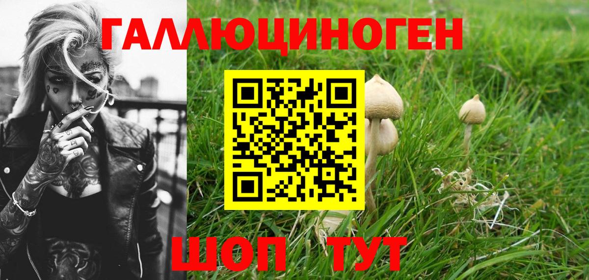 Галлюциногенные грибы мухоморы Саянск